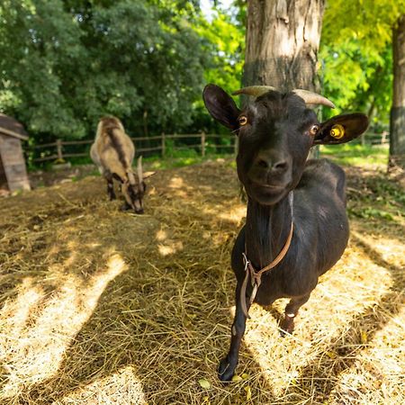 Agriturismo Colle Dei Pivi ポンティ・スル・ミンチョ エクステリア 写真